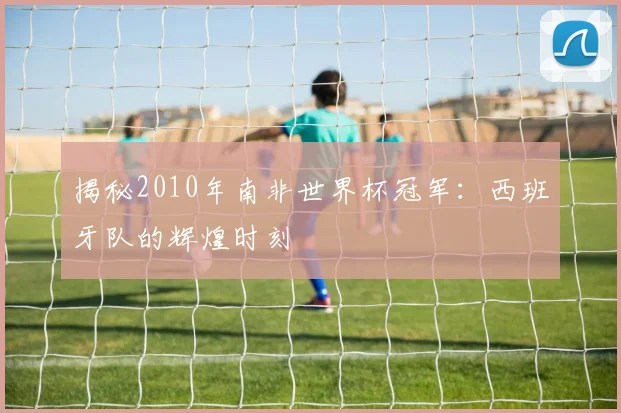 揭秘2010年南非世界杯冠军：西班牙队的辉煌时刻